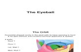 The Eyeball E-learning
