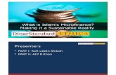 What is Islamic Micro Finance