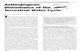 Anthropogenic Disturbance of the Terrestrial Water Cycle