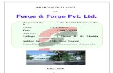 Forge & Forg Project Report-Prince Dudhatra
