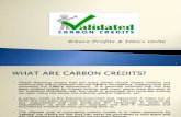 Why Buy Carbon Credits?