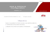 7163984 Aaa Radius Configuration Issue1