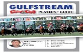 2011 Gulf Stream Guide