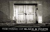 Magic of Black White II