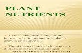 Plant Nutrients, Report q..