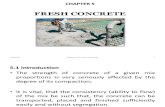 5 Fresh Concrete