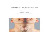 Thyroid Malignancies