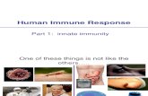 Human Immune Response