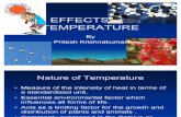Effects of Temperature