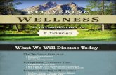 Delivery Wellness ENG