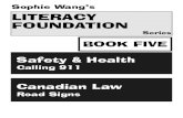 Sophie Wang's Literacy Foundations Book 5 - Sample
