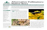 40731158 Alternative Pollinators Native Bees