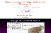 Hormones of the Adrenal Medulla for Labcon