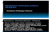 Sensory Stimulation Theory-PSK 3102