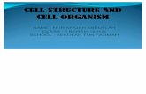 Cell Structure and Cell Organism