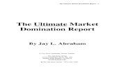 Jay Abraham Market Domination Report