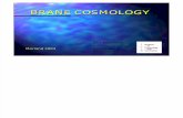 Roy Maartens- Brane Cosmology