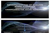 Pa Tho Physiology of Guillain Barre Syndrome