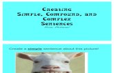 Create Sentences for the Following Pictures