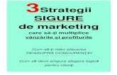 3 Strategii Sigure de Marketing