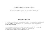 Pneumococcus FCM Final