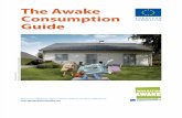 The Awake Consumption Guide En