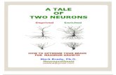 A Tale of Two Neurons 010112