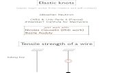 Sébastien Neukirch- Elastic knots
