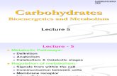 CHO L5, L6 Metabolisim 2nd Nutri