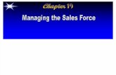 Gsm Chapter19 - Sales Force