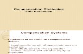 58916570 Compensation Strategies and Practices Session 8