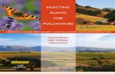 Selecting Plants for Pollinators: California Dry Steppe - North American Pollinator Protection Campaign