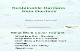 Australia; Sustainable Gardens Rain Gardens - Rain Gardens Australia