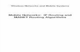 27-IP Routing and MANET Routing Algorithms
