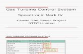 Gas Turbine Control System1 - Nema