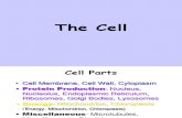 Cell Presentation Full