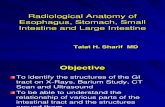 Radio Logical Anatomy of Esophagus, Stomach, Small by Talat 11-9