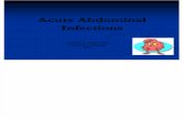 Acute Abdominal Infections Presentation 1209102520194201 9