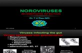 Norovirus Infections