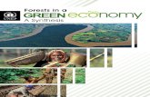 Forests in a Green Economy