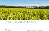 The Power of Many- McKinsey Report- 20110310