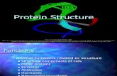 Lecture Presentation - Protein Structure