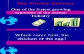 Poultry Industry Lec3