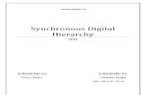 Synchronous Digital Hierarchy REPORT
