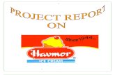 Havmor Ice Creams Bba Mba Project Report