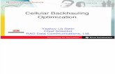 Cellular Back Hauling Optimization