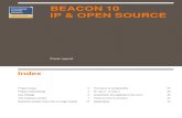 IP and Open Source Final Report