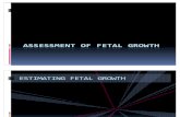 20471216 Assessment of Fetal Growth