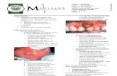 2011-07-PATHO-Head and Neck Disorders 1