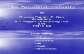 Usr Files 58 Fagan-PetroLecture Without Notes